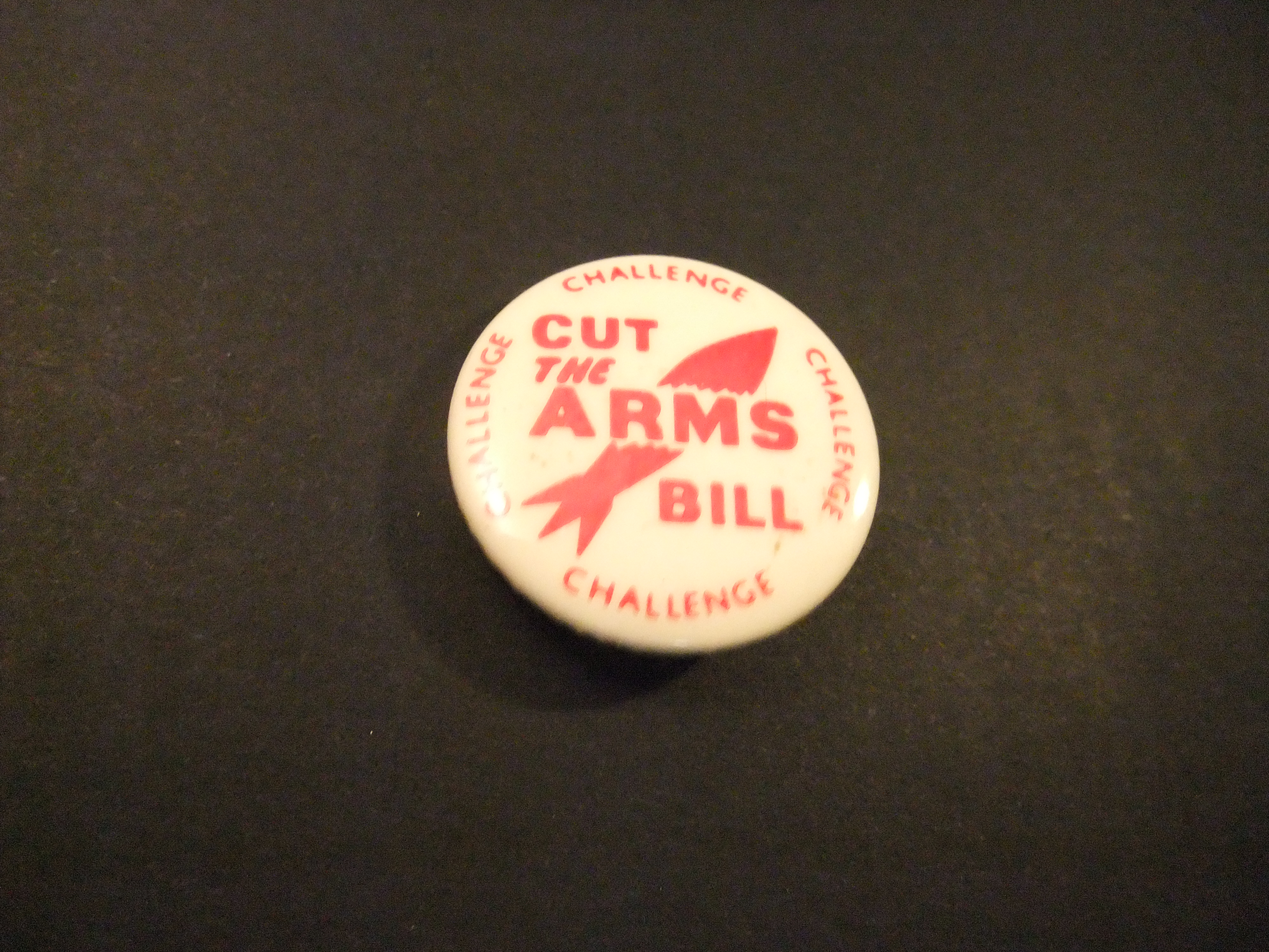 Cut the Arms Bill Challenge (anti-atoombom protest)